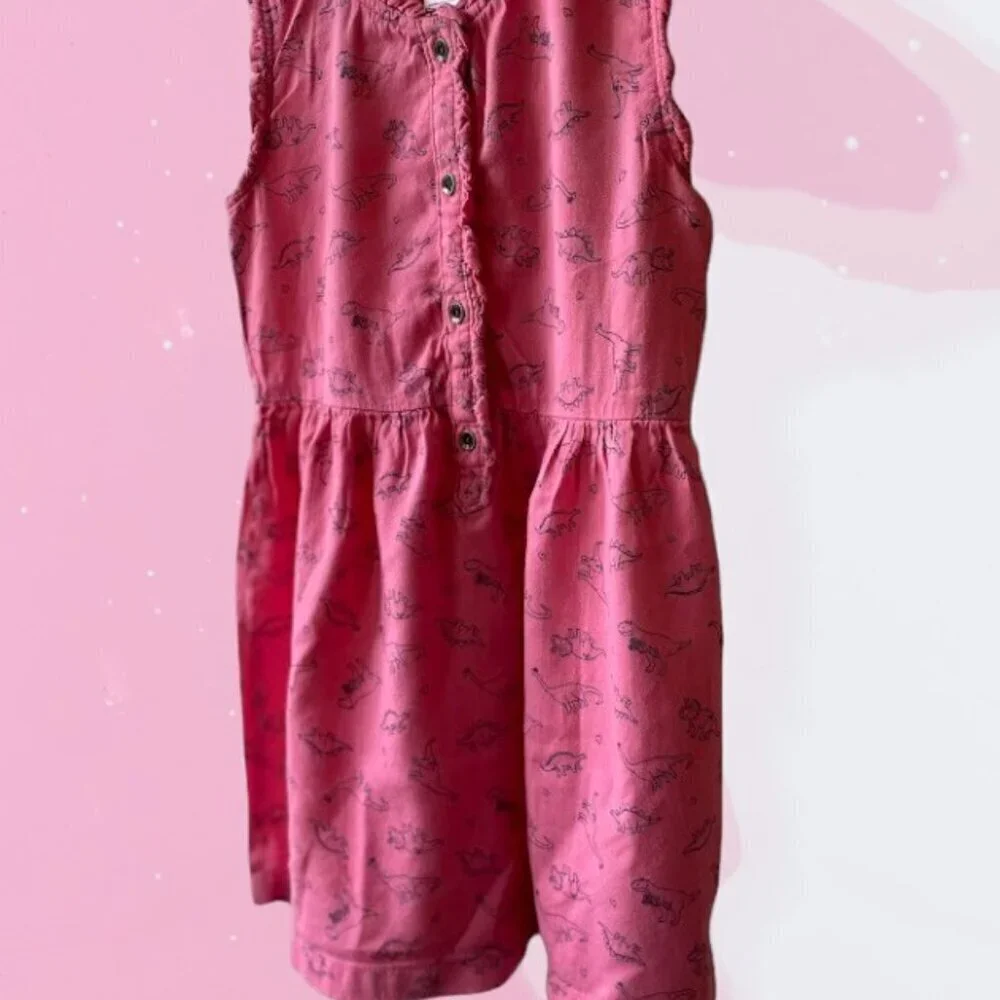 Carter's Dinosaur Dress